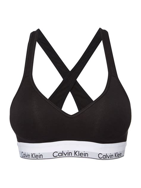 calvin klein modern cotton bralette